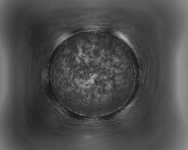 X0000087711259200705041052
