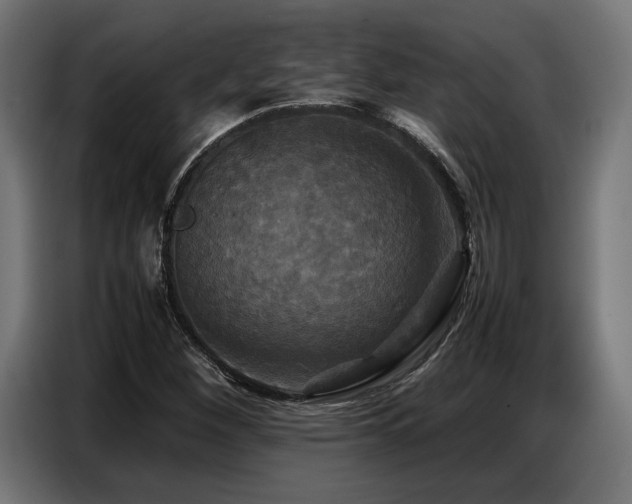 X0000087711260200705041052