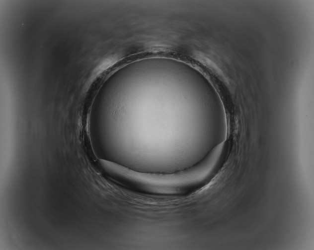 X0000087711261200705041052