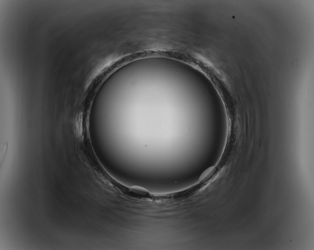 X0000087711262200705041052
