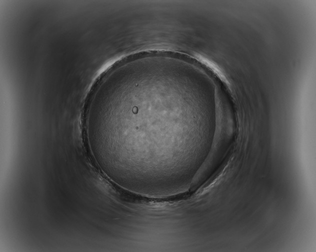 X0000087711264200705041052