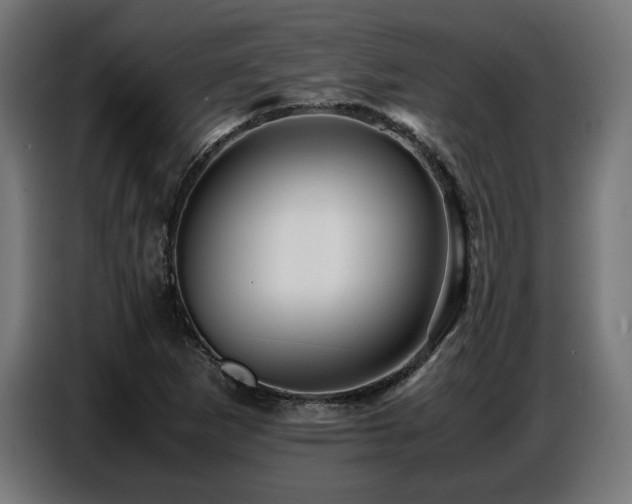 X0000087711265200705041052