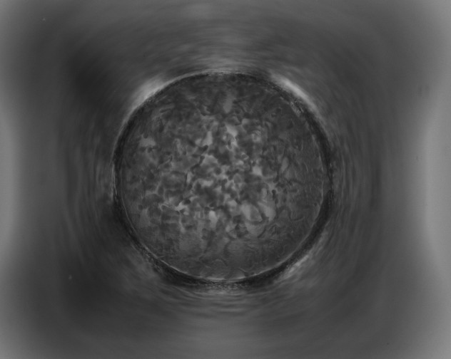 X0000087711267200705041052