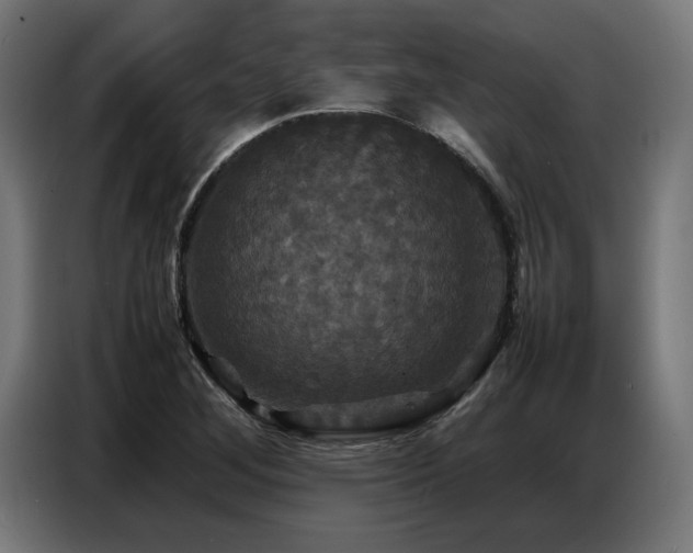 X0000087711268200705041052