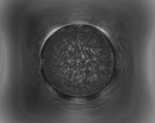 X0000087711271200705041052