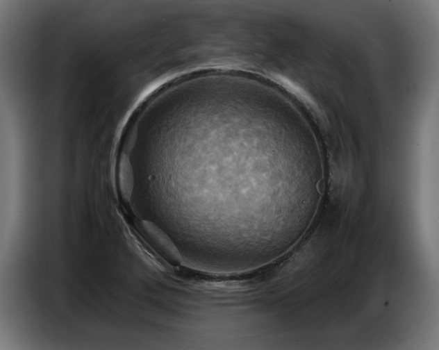 X0000087711272200705041052