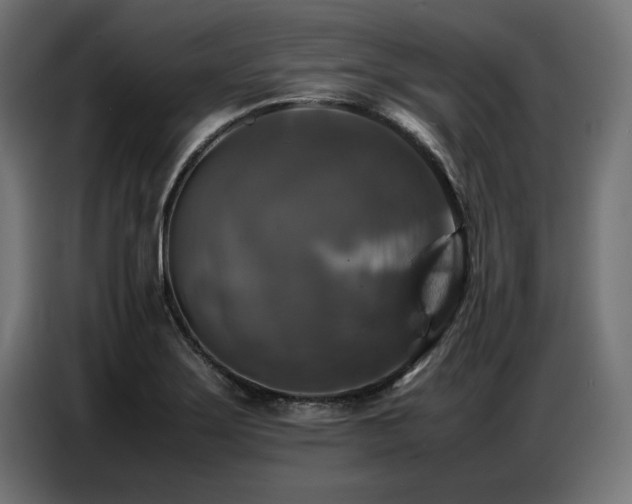 X0000087711275200705041052