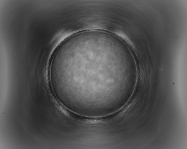 X0000087711278200705041052