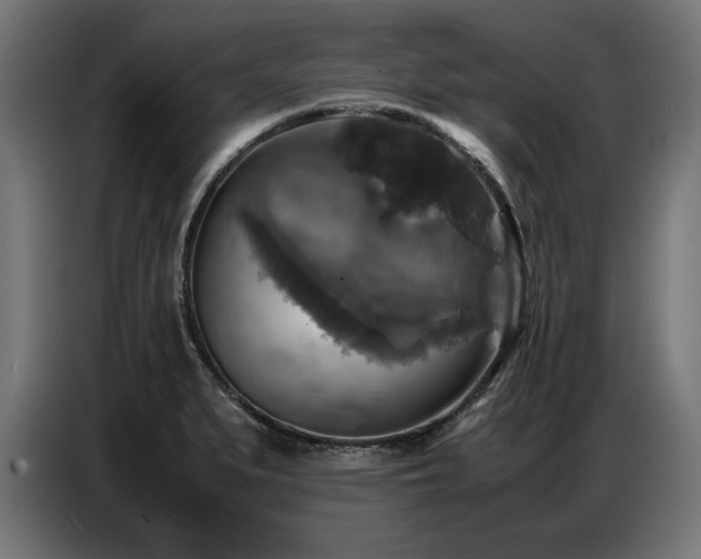 X0000087711279200705041052