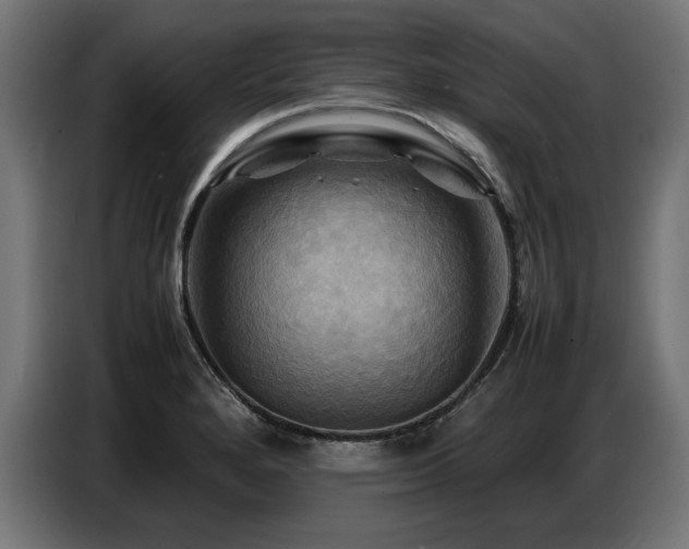 X0000087711280200705041052