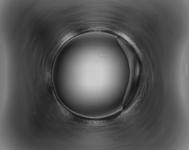 X0000087711281200705041052