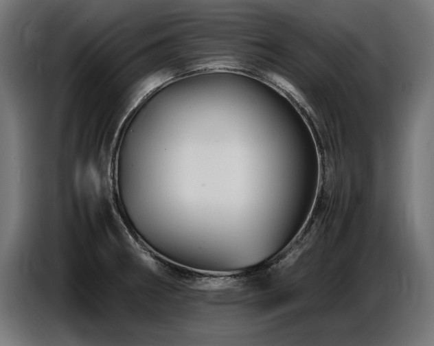 X0000087711282200705041052