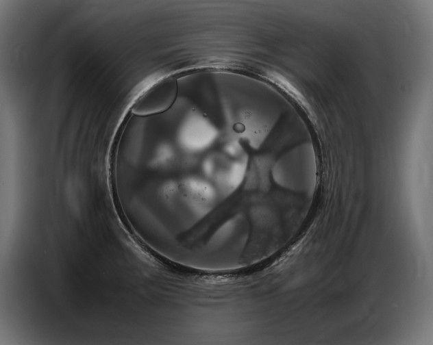 X0000087711283200705041052