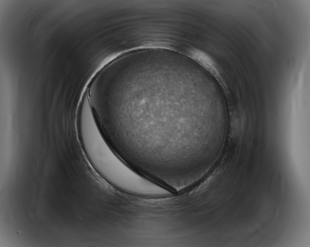 X0000087711284200705041052