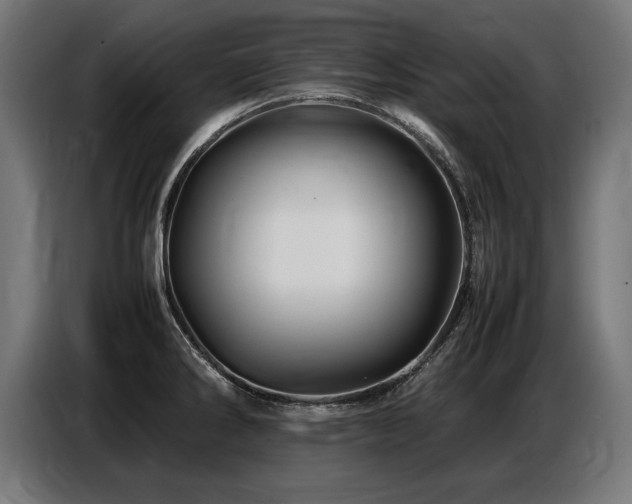 X0000087711286200705041052