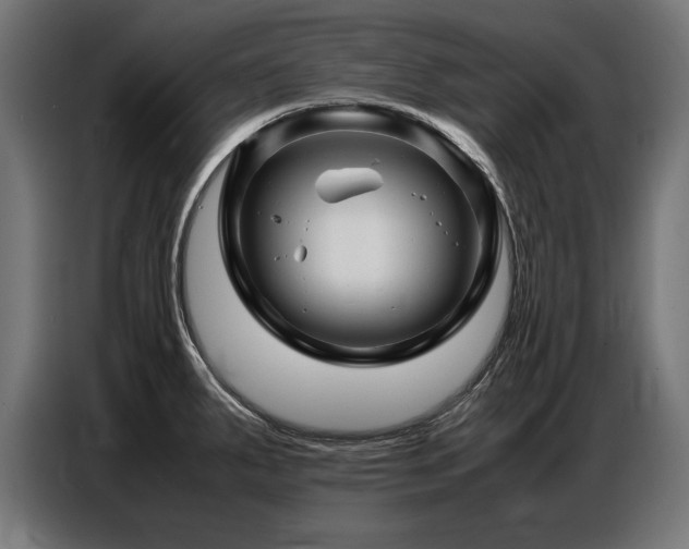 X0000087711287200705041052