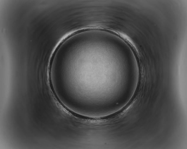 X0000087711288200705041052