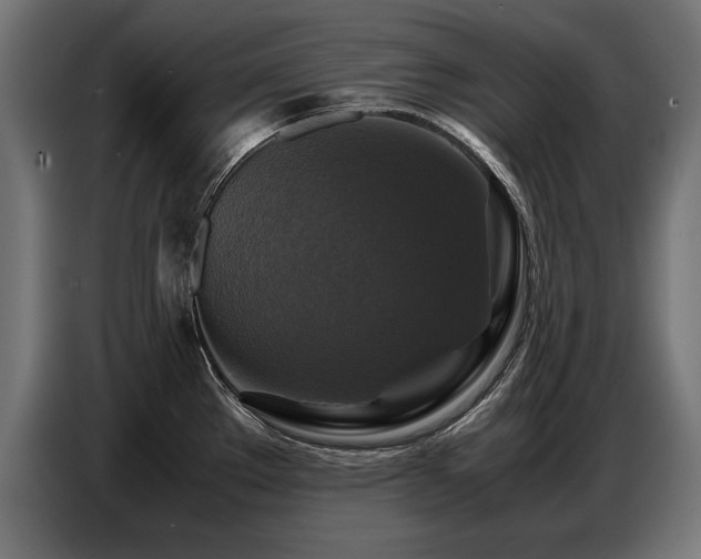 X0000087711289200705041052