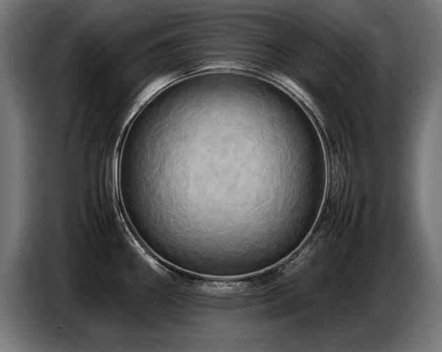 X0000087711290200705041051