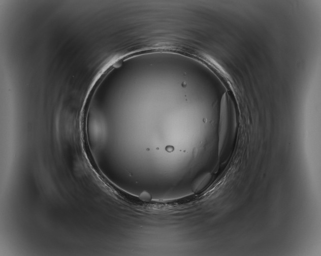 X0000087711291200705041051