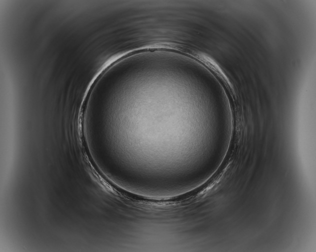 X0000087711292200705041051