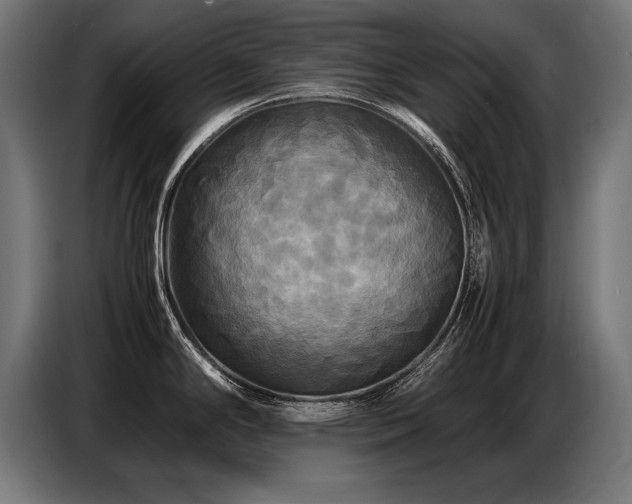 X0000087711294200705041051