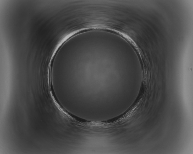 X0000087711295200705041051