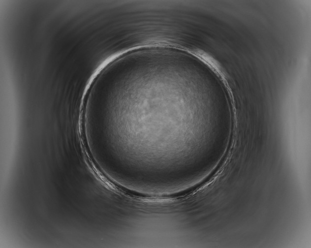 X0000087711296200705041051