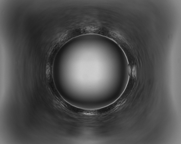 X0000087711299200705041051