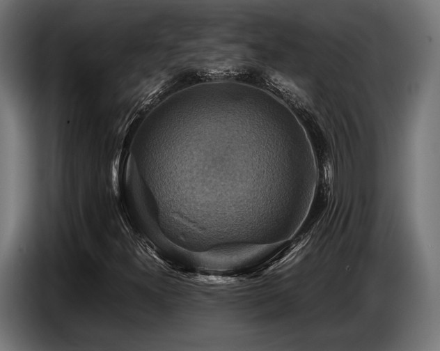 X0000087711300200705041051