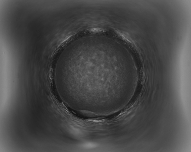X0000087711301200705041051