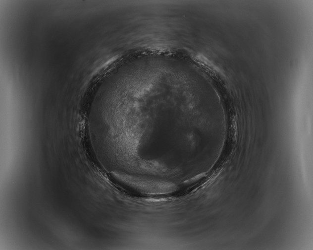 X0000087711302200705041051
