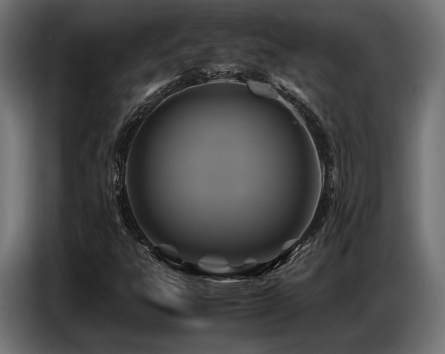 X0000087711303200705041051