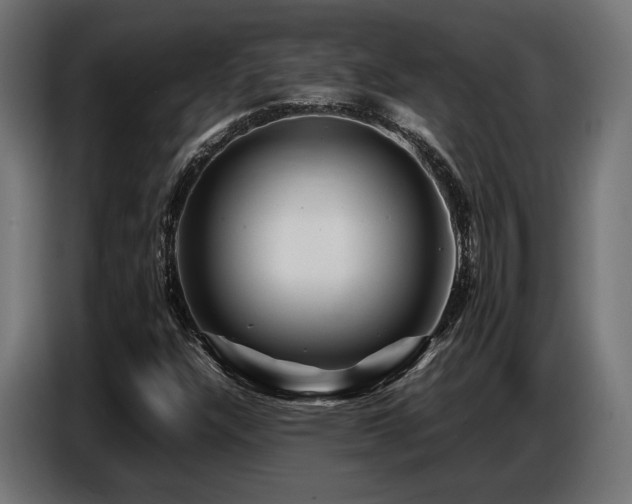 X0000087711304200705041051