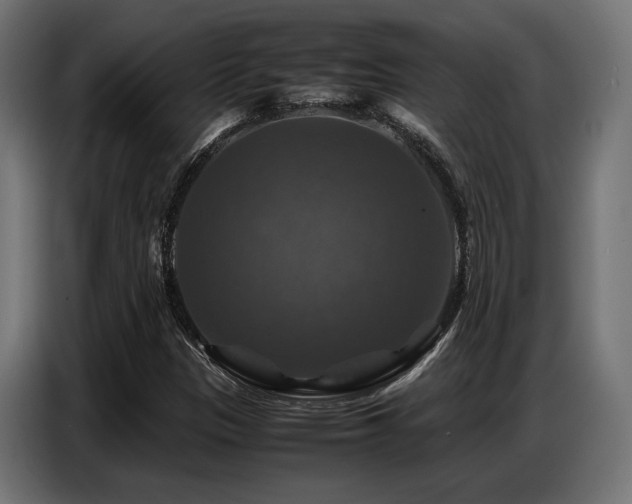 X0000087711305200705041051