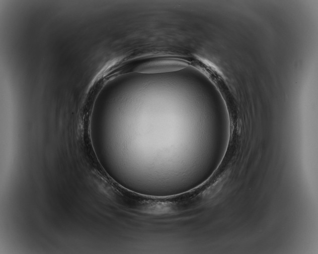 X0000087711309200705041051