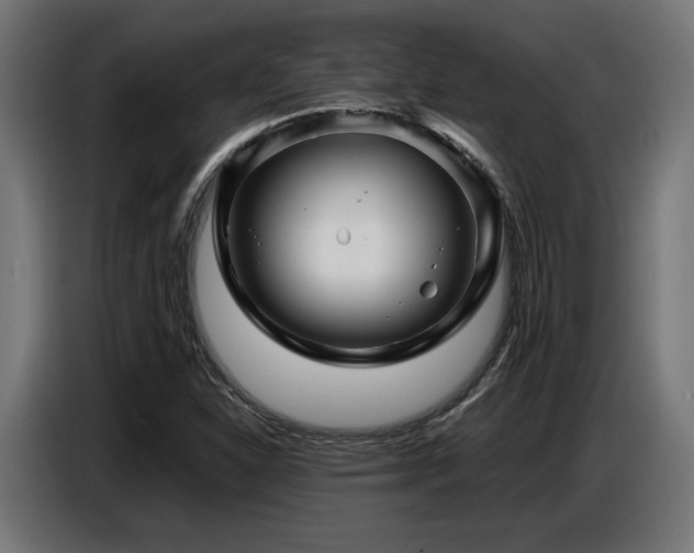 X0000087711310200705041051