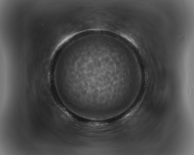 X0000087711311200705041051