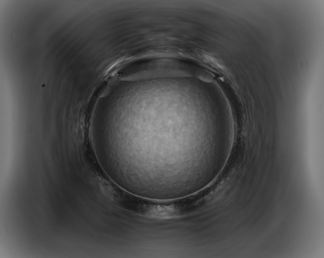 X0000087711313200705041051