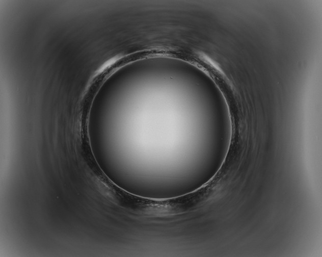 X0000087711315200705041051