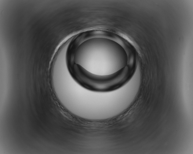 X0000087711316200705041051