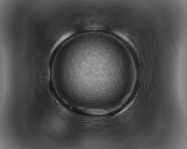 X0000087711317200705041051