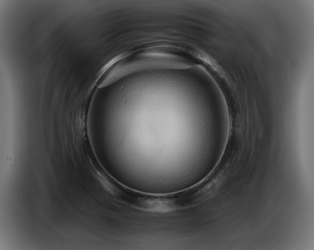 X0000087711321200705041051