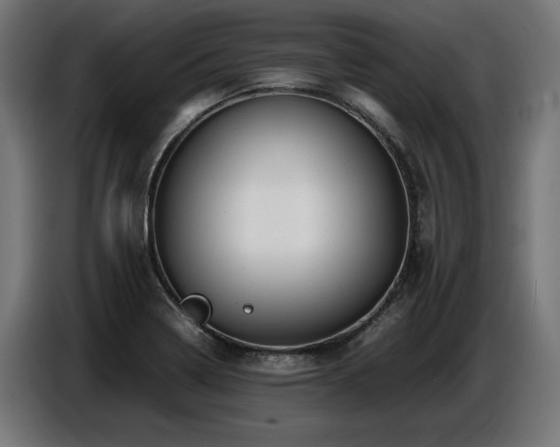 X0000087711322200705041051