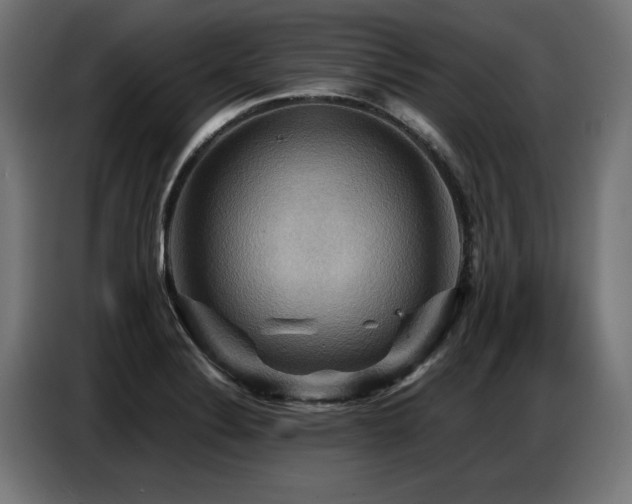 X0000087711324200705041051