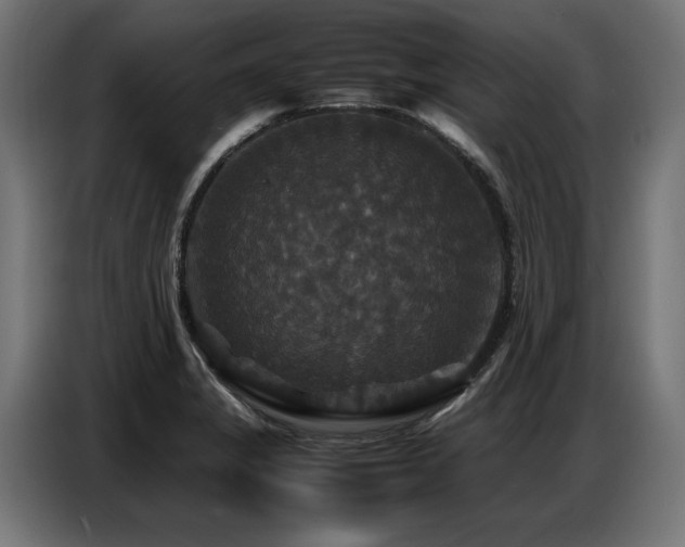 X0000087711325200705041051