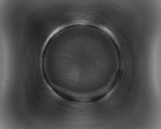 X0000087711326200705041051