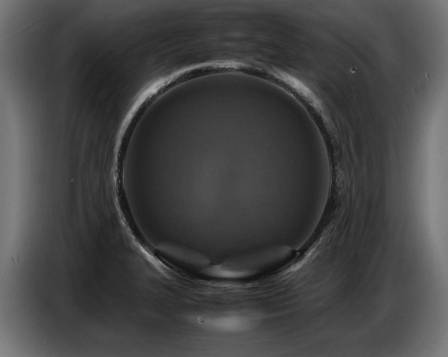 X0000087711327200705041051