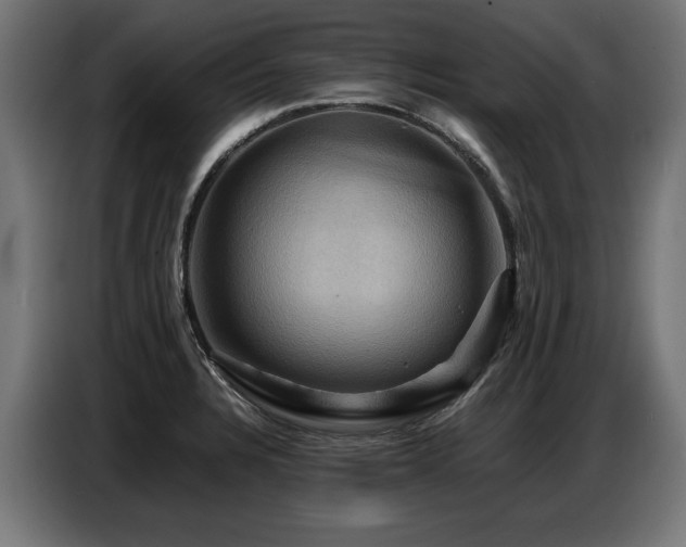 X0000087711328200705041051