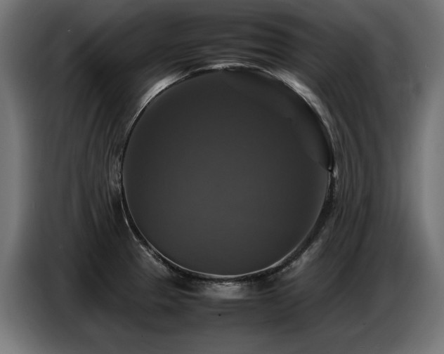 X0000087711329200705041051